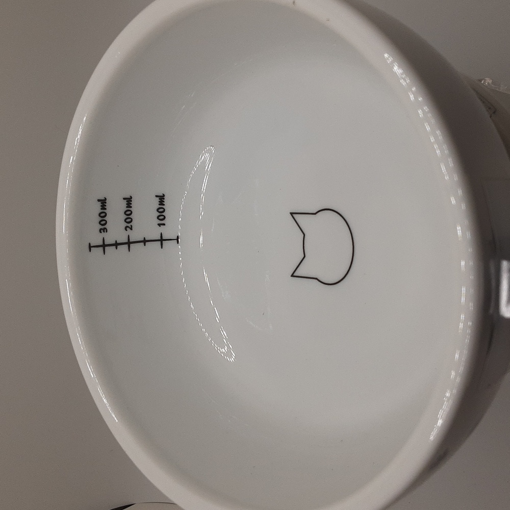 Neco Ichi Raised Cat Water Bowl - NWT & Food Bowl - EUC - Picture 3 of 13